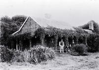 Punga or tree-fern house used by the Maori and Moriori of the Chatham Islands [ca. 1890]