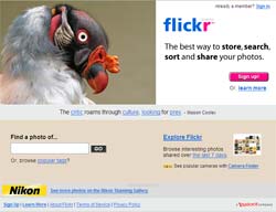 Flickr home page